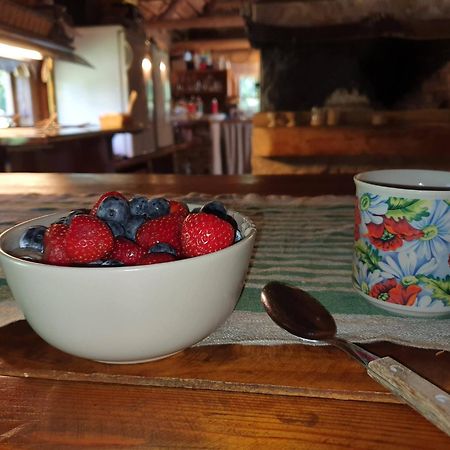 Anni Tourism Farm Villa Tammese Dış mekan fotoğraf