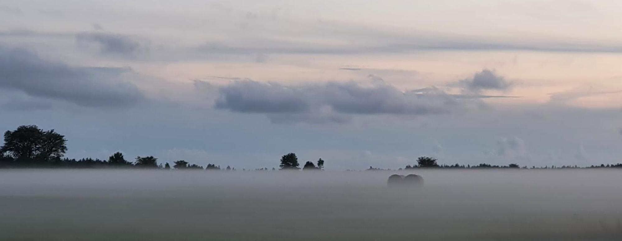 Anni Tourism Farm Villa Tammese Dış mekan fotoğraf