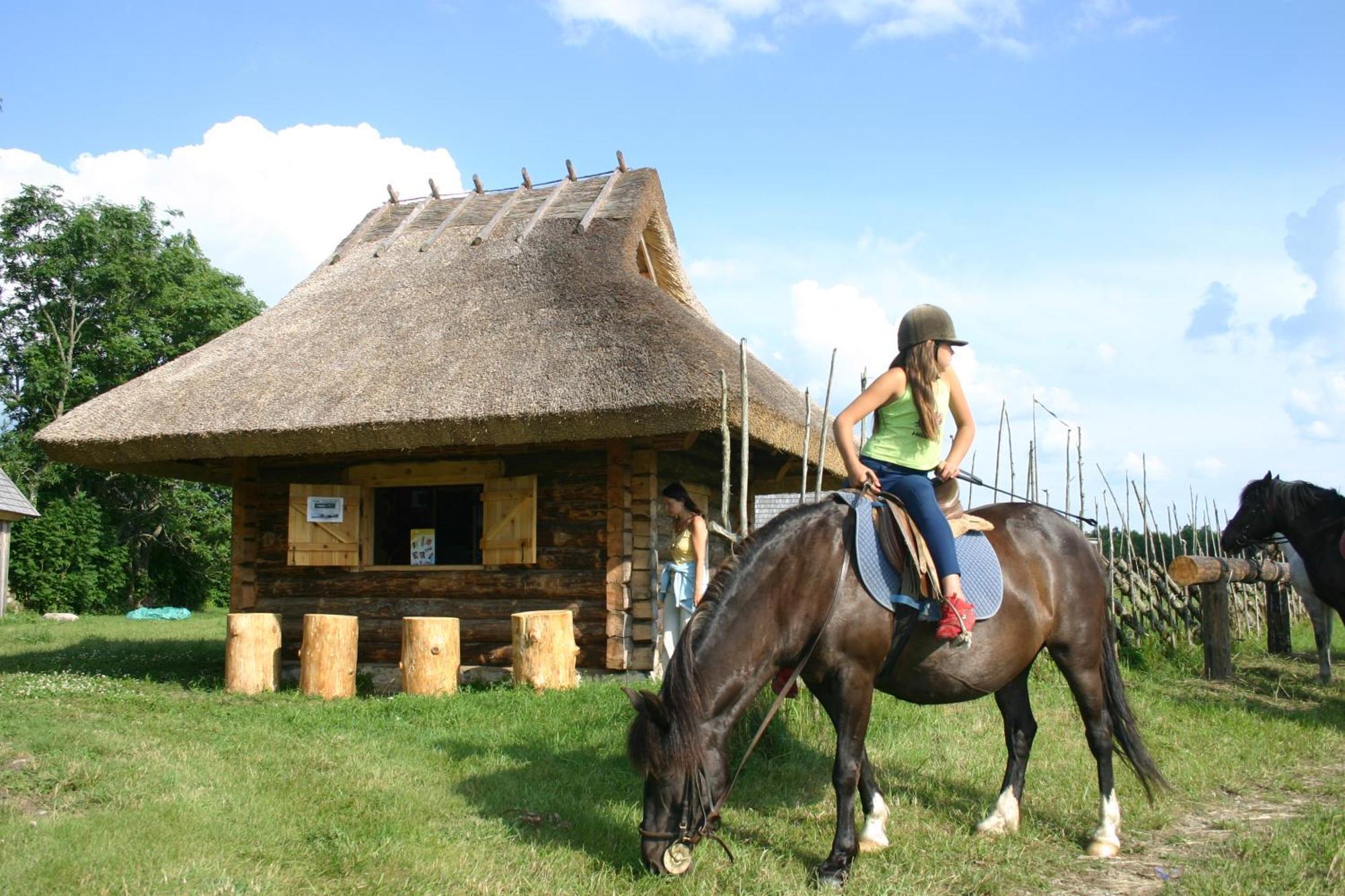 Anni Tourism Farm Villa Tammese Dış mekan fotoğraf