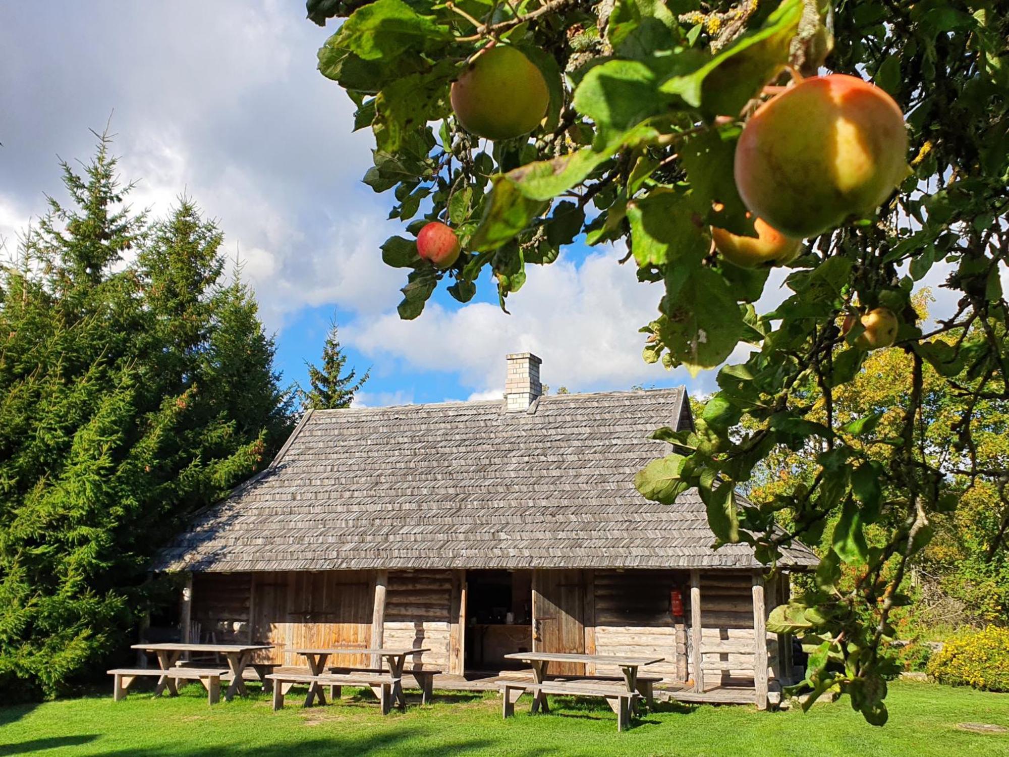 Anni Tourism Farm Villa Tammese Dış mekan fotoğraf